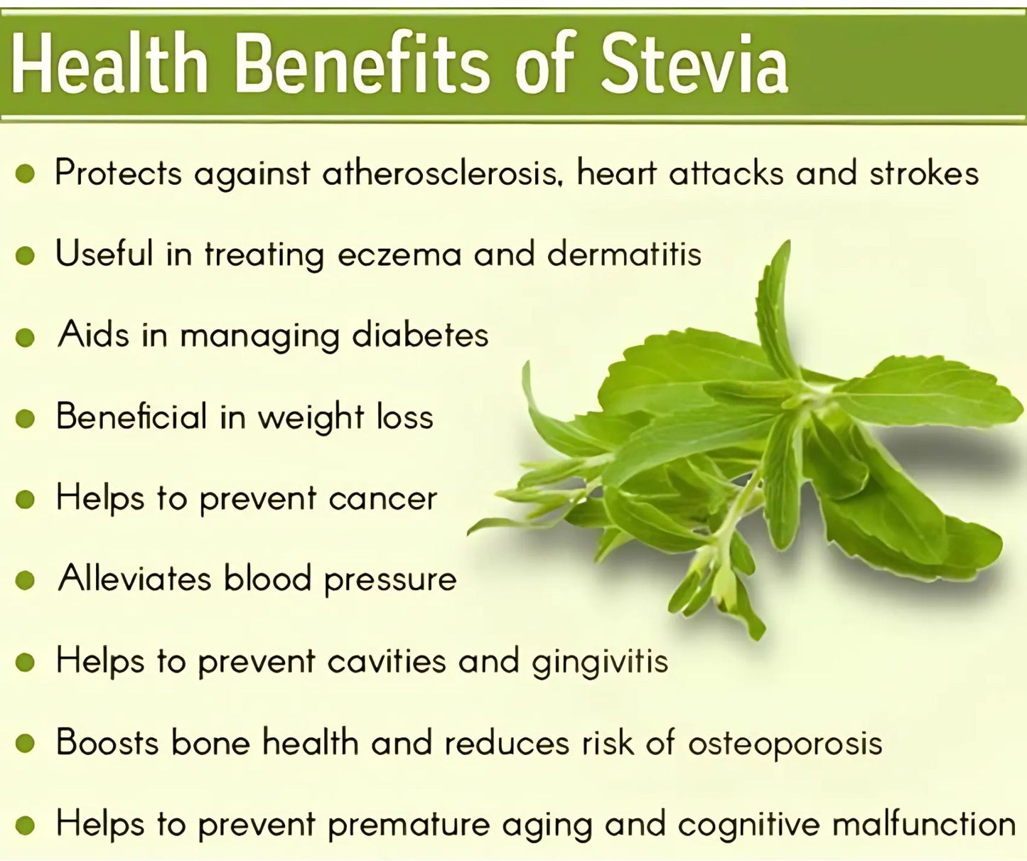 Stevia Plant – Natural Sugar Substitute | Diabetic Friendly Herb