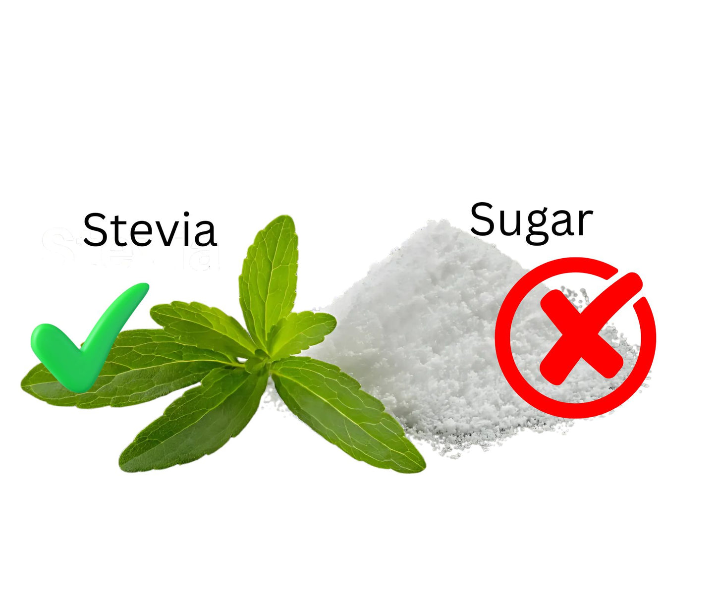 Stevia Plant – Natural Sugar Substitute | Diabetic Friendly Herb