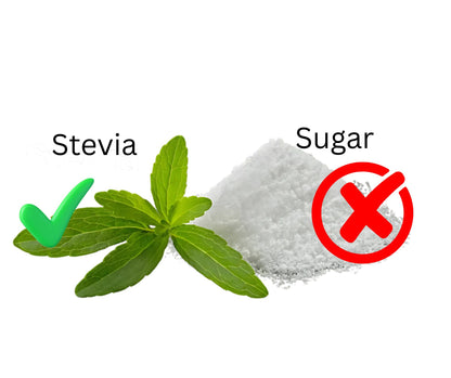 Stevia Plant – Natural Sugar Substitute | Diabetic Friendly Herb