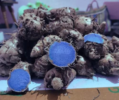 काली हल्दी (Black Turmeric) 1KG – शुद्ध एवं प्राकृतिक औषधीय जड़ी-बूटी