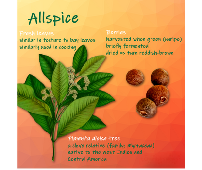 All Spice Plant (ऑल स्पाइस - मसालों का पौधा  ) – Natural Masala in One Leaf | Ayurvedic & Aromatic