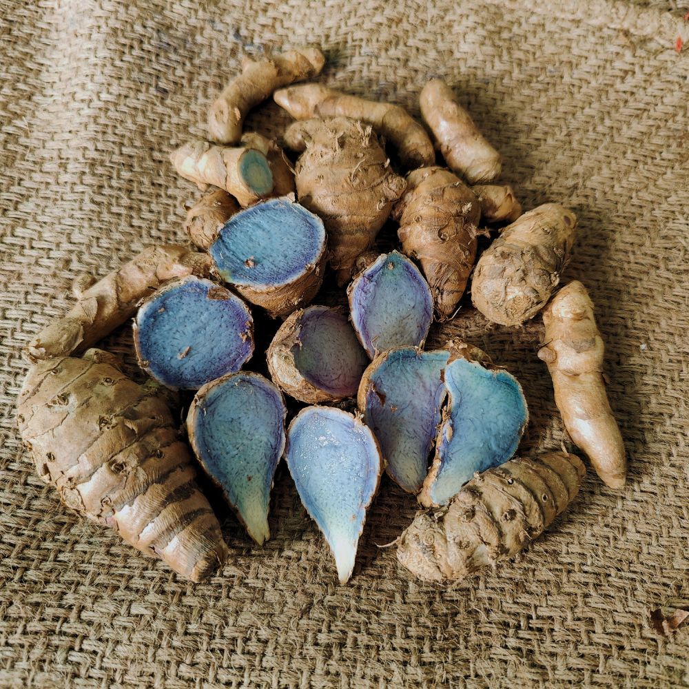 काली हल्दी (Black Turmeric) 1KG – शुद्ध एवं प्राकृतिक औषधीय जड़ी-बूटी