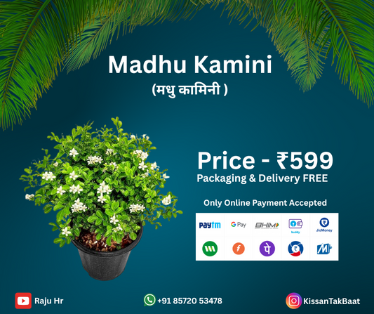 Madhu Kamini (मधु कामिनी )