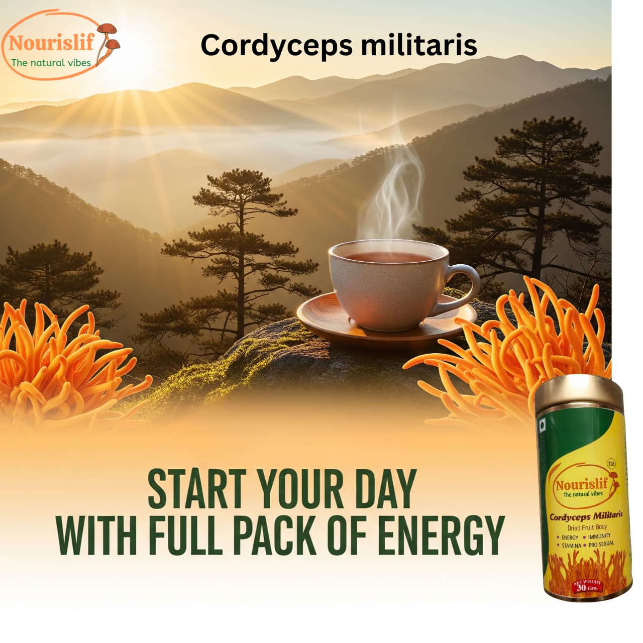 Premium Cordyceps Militaris (Keeda Jadi) 30gm – 100% Natural Himalayan Medicinal Mushroom