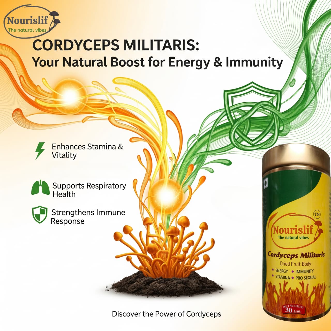 Premium Cordyceps Militaris (Keeda Jadi) 30gm – 100% Natural Himalayan Medicinal Mushroom