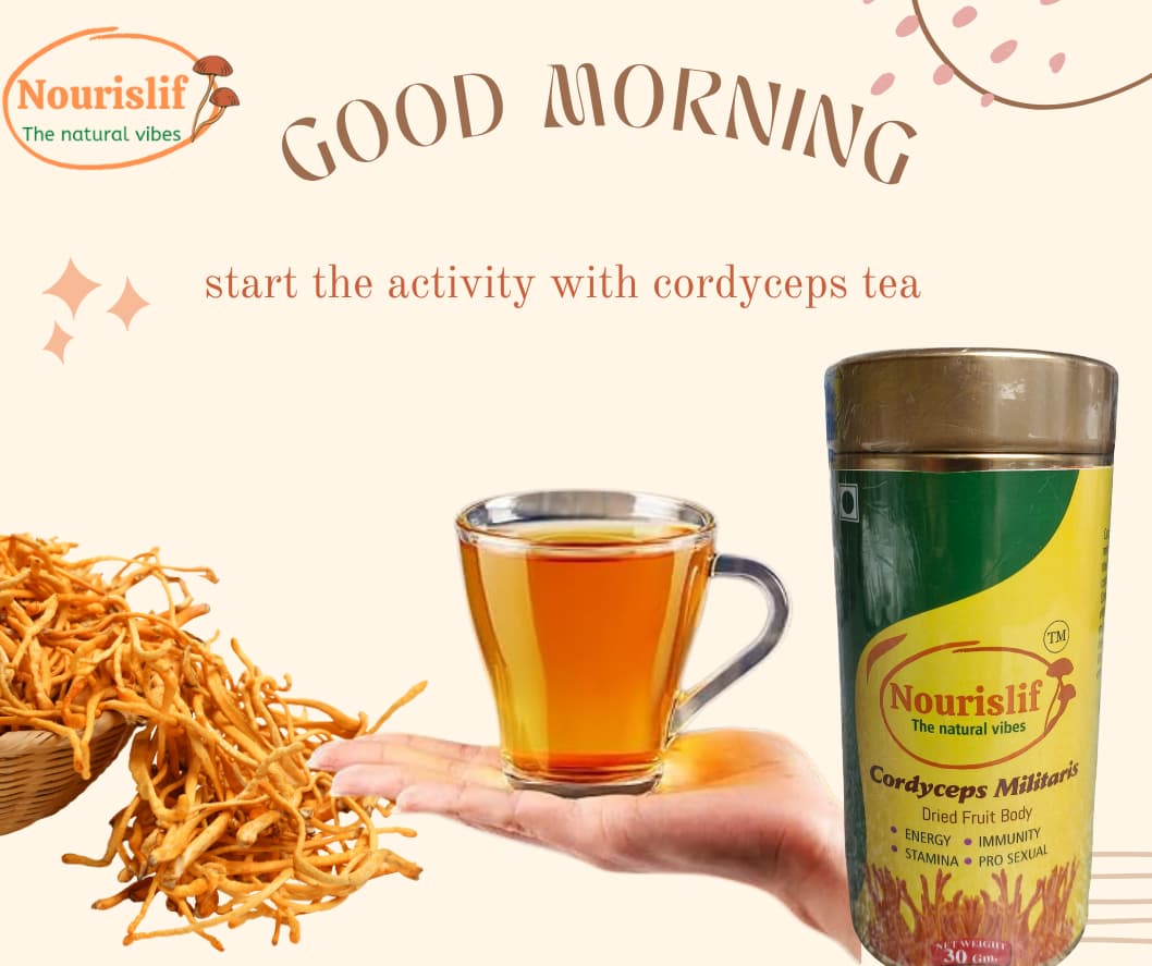 Premium Cordyceps Militaris (Keeda Jadi) 30gm – 100% Natural Himalayan Medicinal Mushroom