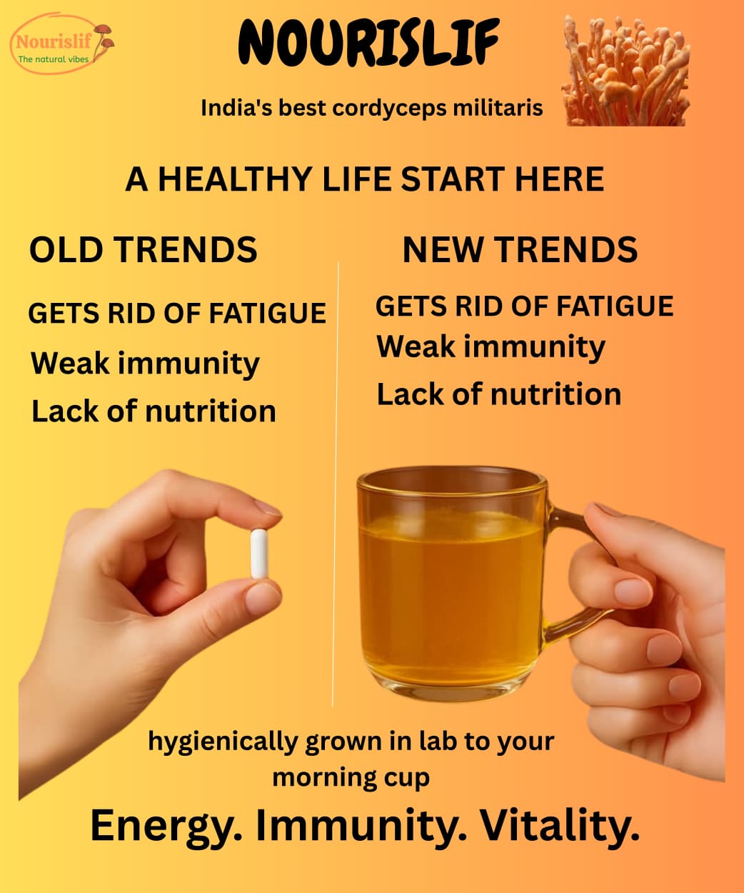Premium Cordyceps Militaris (Keeda Jadi) 30gm – 100% Natural Himalayan Medicinal Mushroom
