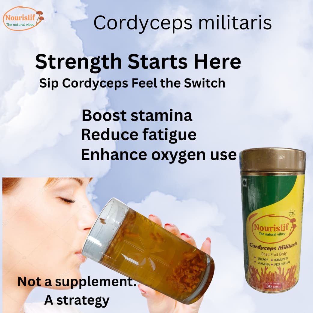 Premium Cordyceps Militaris (Keeda Jadi) 30gm – 100% Natural Himalayan Medicinal Mushroom