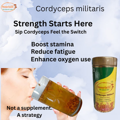 Premium Cordyceps Militaris (Keeda Jadi) 30gm – 100% Natural Himalayan Medicinal Mushroom