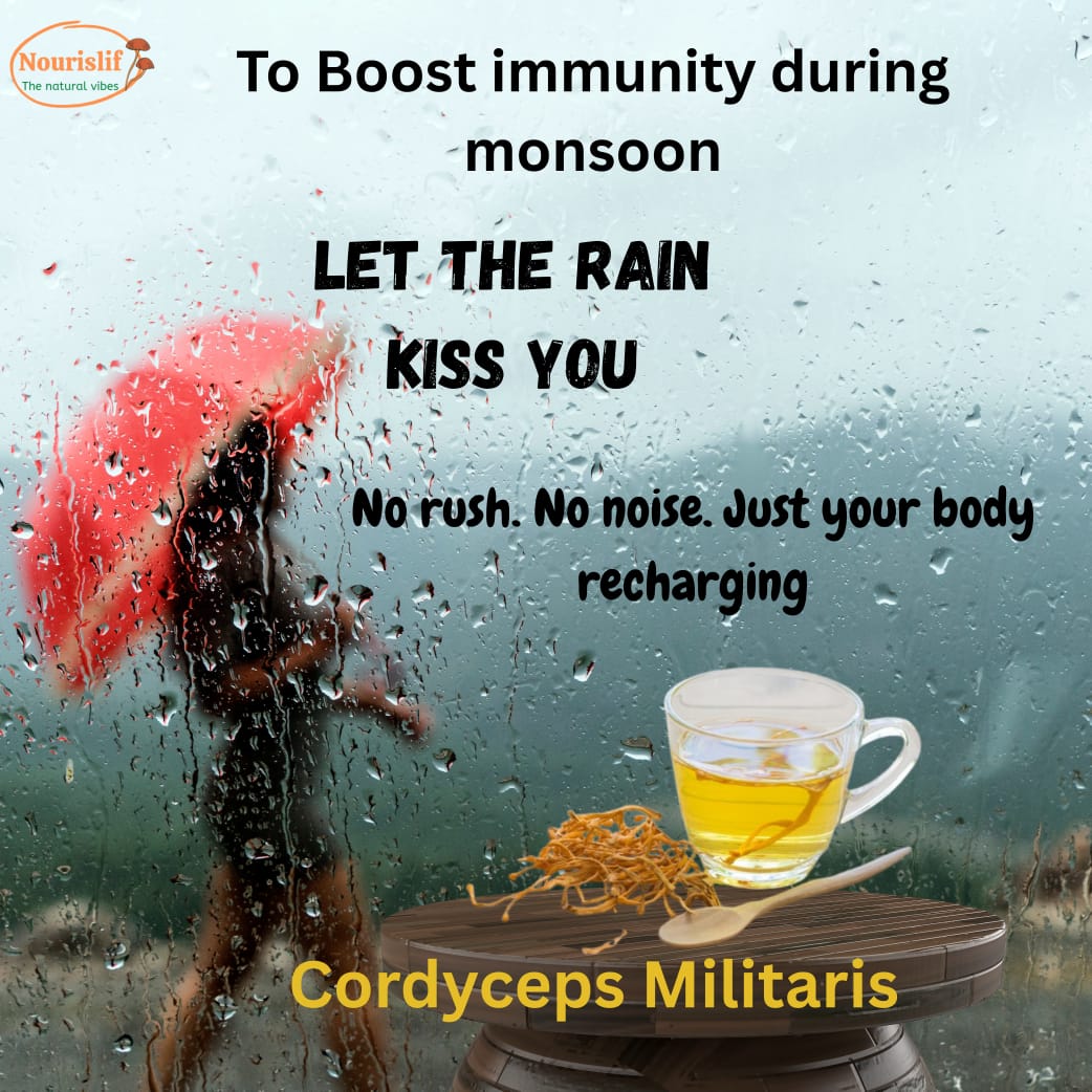 Premium Cordyceps Militaris (Keeda Jadi) 30gm – 100% Natural Himalayan Medicinal Mushroom