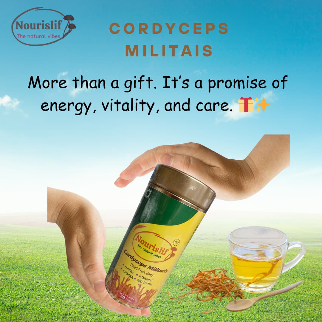 Premium Cordyceps Militaris (Keeda Jadi) 30gm – 100% Natural Himalayan Medicinal Mushroom