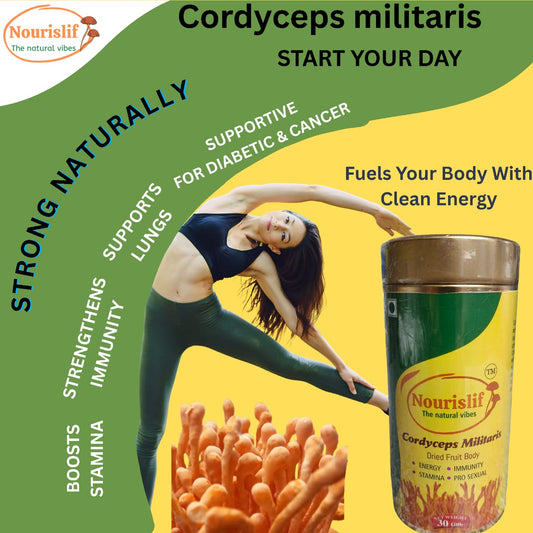 Premium Cordyceps Militaris (Keeda Jadi) 30gm – 100% Natural Himalayan Medicinal Mushroom