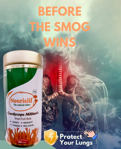 Premium Cordyceps Militaris (Keeda Jadi) 30gm – 100% Natural Himalayan Medicinal Mushroom