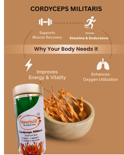 Premium Cordyceps Militaris (Keeda Jadi) 30gm – 100% Natural Himalayan Medicinal Mushroom