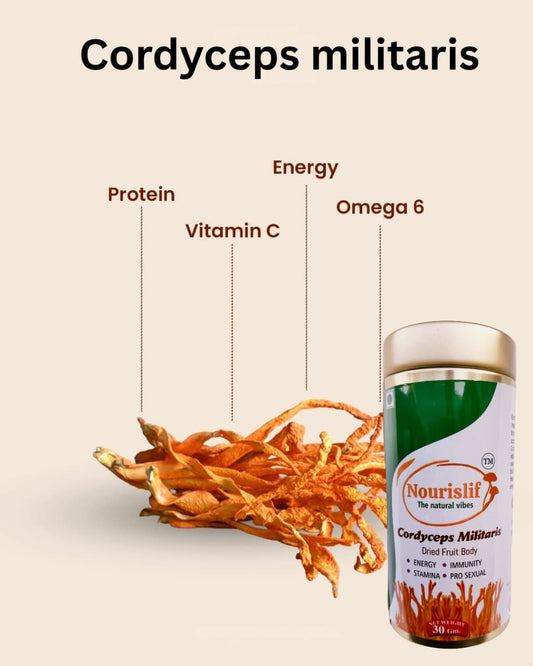 Premium Cordyceps Militaris (Keeda Jadi) 30gm – 100% Natural Himalayan Medicinal Mushroom