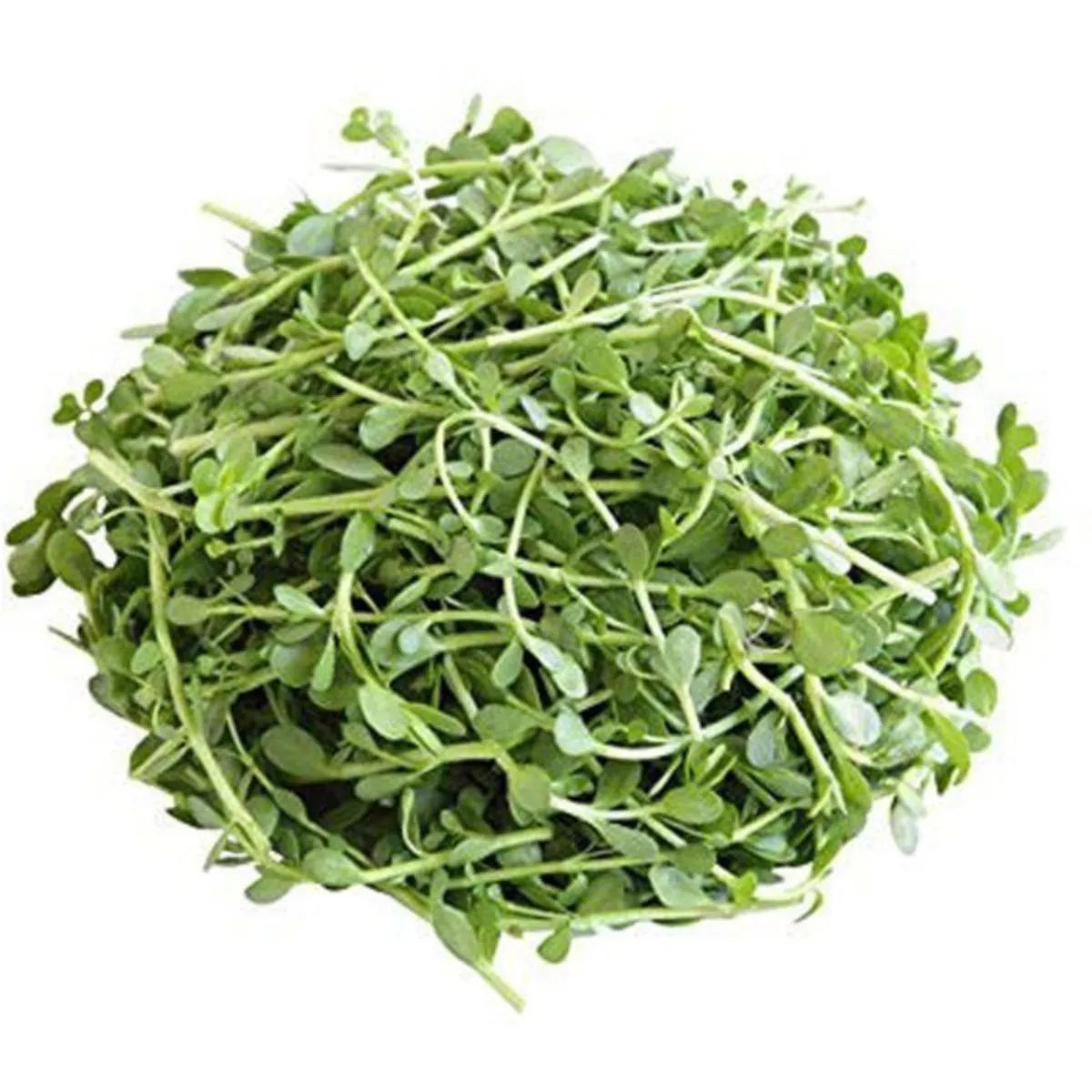 ऑर्गेनिक ब्राह्मी सूखी पत्तियां - 50gm