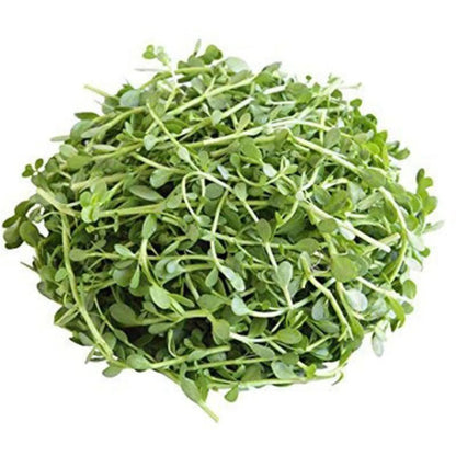 ऑर्गेनिक ब्राह्मी सूखी पत्तियां - 50gm